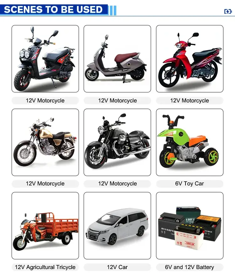 12V 24V Intelligent Car Battery Charger product detail 23