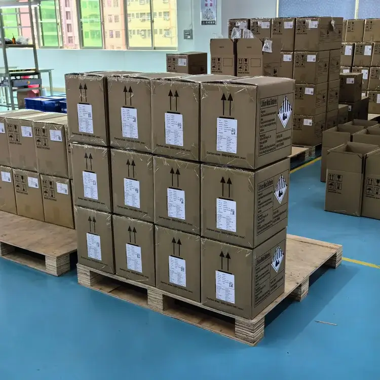 Anpassbare 18650 Wiederaufladbare Lithium-Ionen-Batteriepacks product detail 20