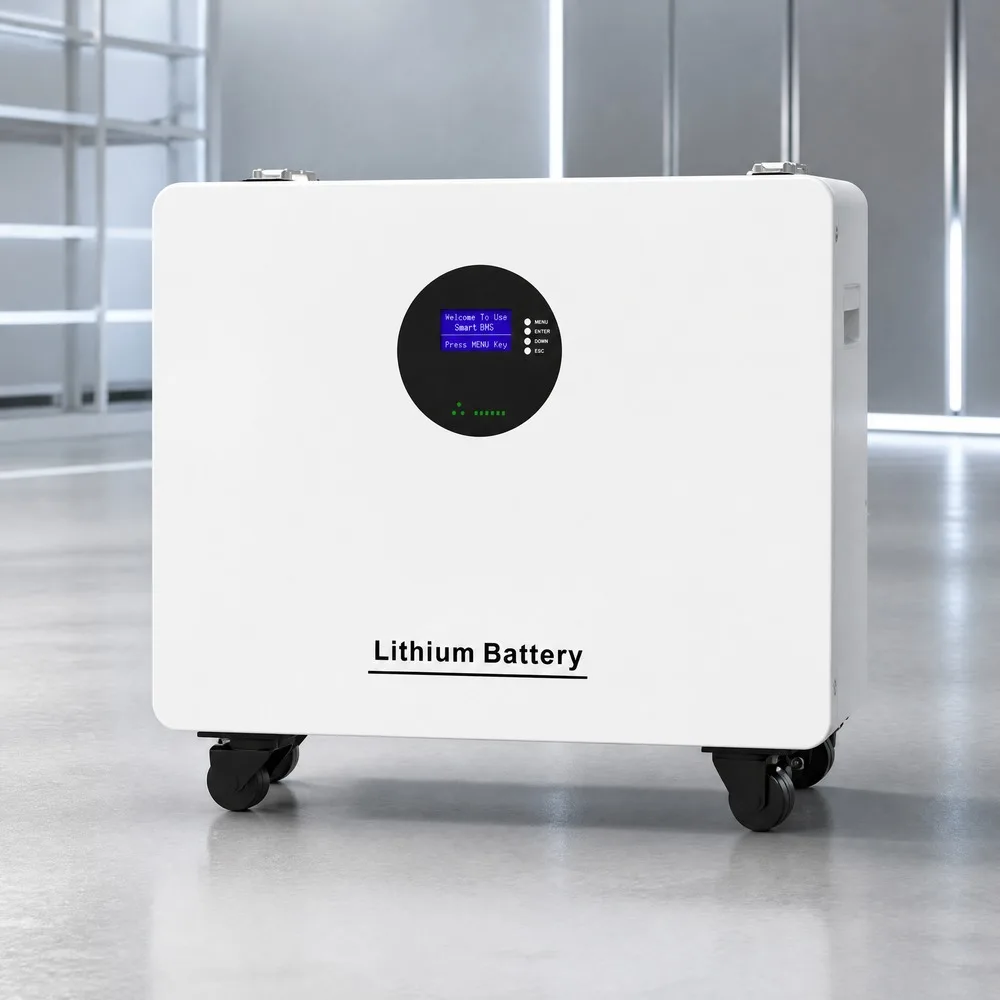 25.6V LiFePO4 Wall-Mounted Battery Pack